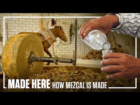 How Mezcal Is Made | Made Here | Popular Mechanics