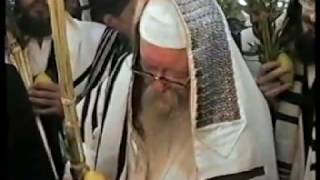 האדמו''ר בעל אמונת אברהם מפיטסבורג זי''ע בהלל בסוכות תיעוד היסטורי