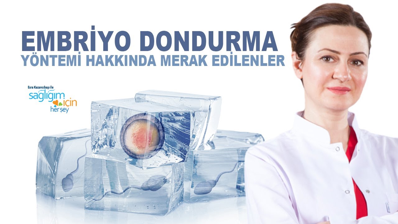 Embriyo Dondurma Yöntemi Nedir? Kimler İçin Uygundur?