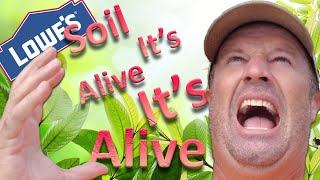Lowes Plant Shopping / Mulch / Soil Health / Tools