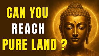 MIND-BLOWING Secrets of Zen Buddhism's Buddha Land REVEALED