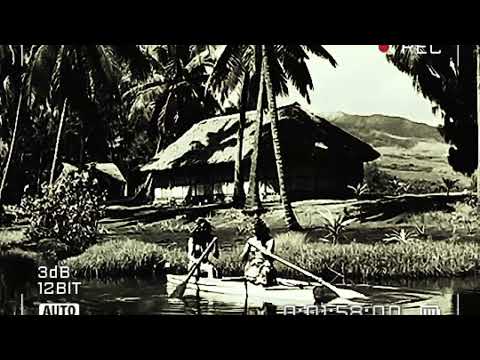 Karlite 🇵🇫     Diana ( Official audio)