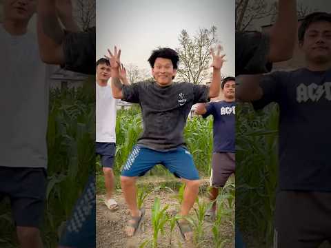 Makai Bari Daryam Daryam.😂 #nypolee #nypoleecouple #makaibaridaryamdaryam