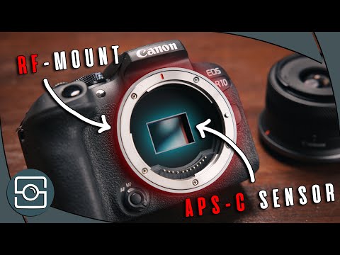 Ist die NEUE Canon R10 die BESTE Kamera unter 1000€?