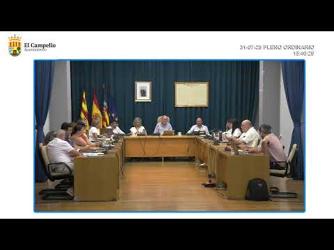 PLENO ORDINARIO 31-07-2025