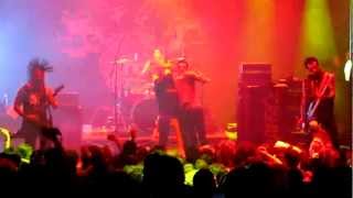 The Casualties - No Solution No Control