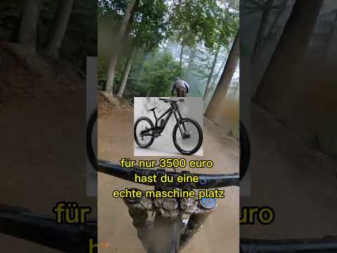 Top 3 Bikes bis 5000€