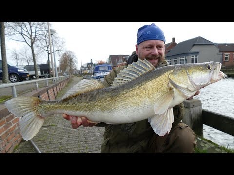 Matze Koch for Balzer: "Köfi" and "Naturpeitsche" stalking rods