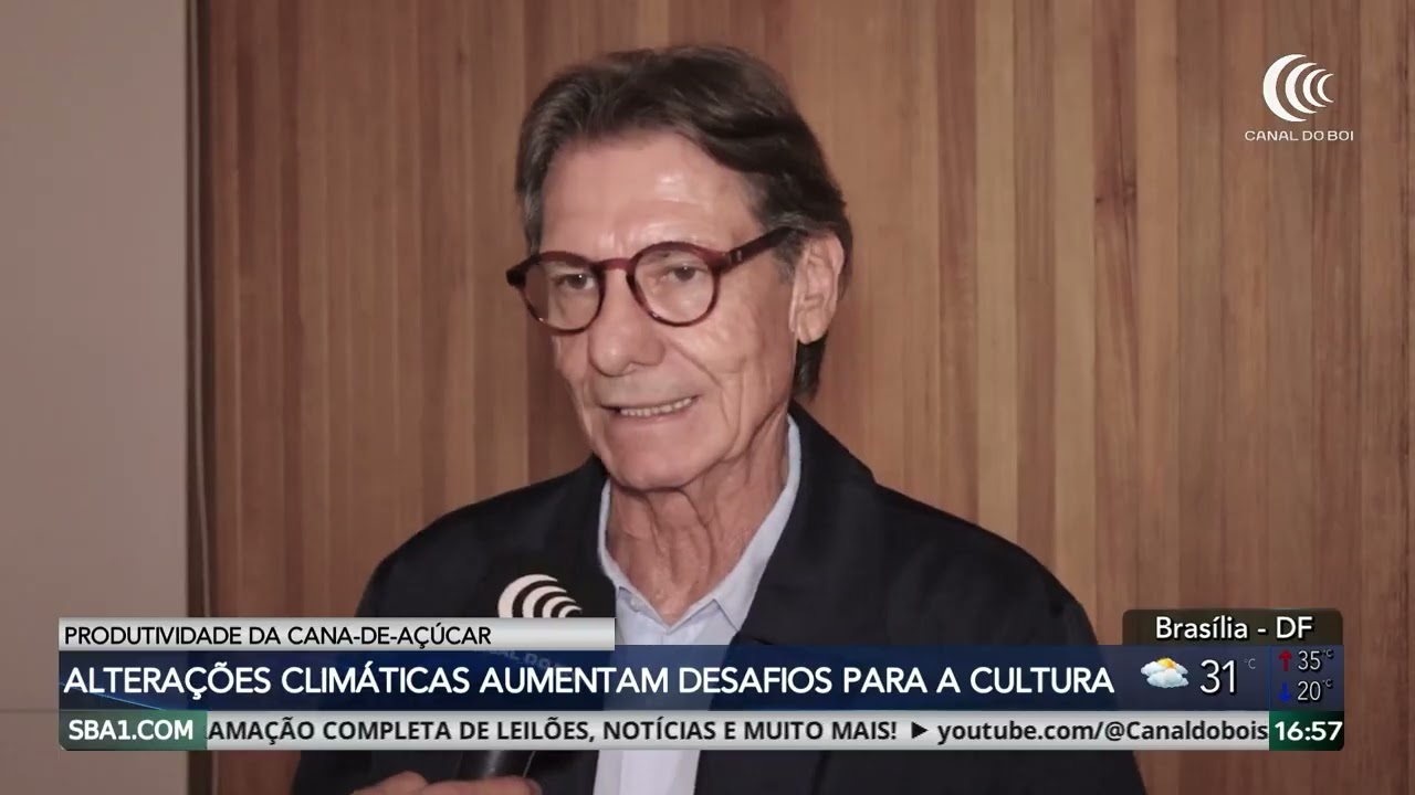 Alterações climáticas aumentam desafios na produção de cana-de-açúcar