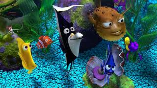 Finding Nemo News from Nigel