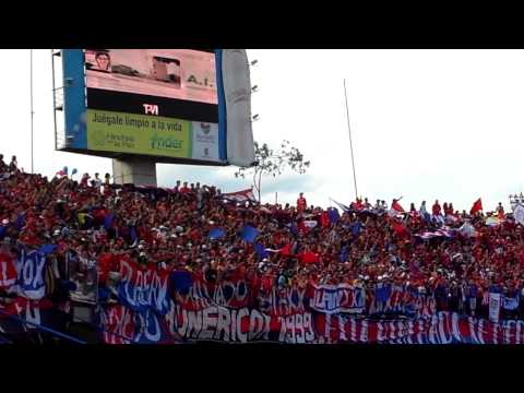 "Vamos campeón, quiero ganar y..." Barra: Rexixtenxia Norte • Club: Independiente Medellín