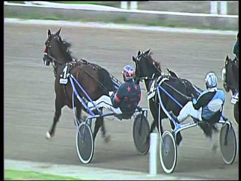 Trotto 22/10/2015 - 6° corsa