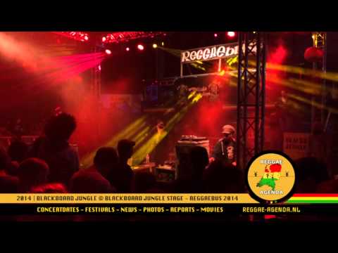 Blackboard Jungle @ Reggaebus Festival 2014