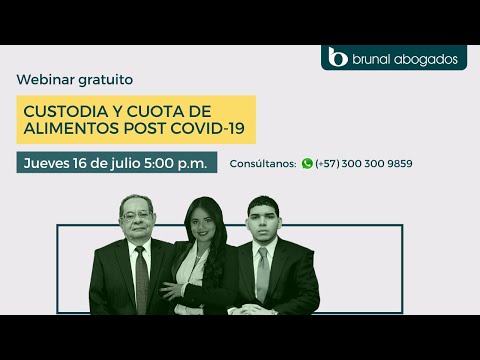 Video sobre custodia y cuota de alimentos