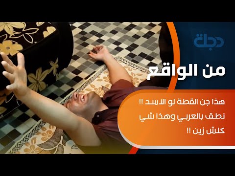 شاهد بالفيديو.. من الواقع | هذا جن القطة لو الاسد !! نطق بالعربي وهذا شي كلش زين !! ولا واحد يظل بجسمه