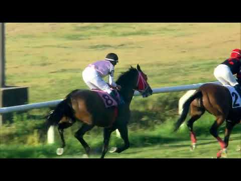 230115 c11 Hcp   Roberto Ferber