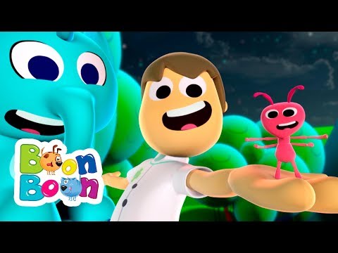 Cântecul furnicuței - Cântece educative pentru copii de grădiniță | Cântece BoonBoon