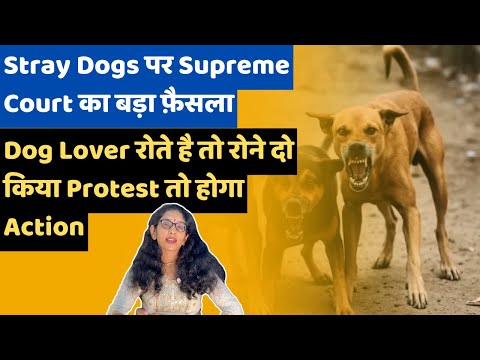 Stray Dogs पर Supreme Court का फ़ैसला | Dog Lover रोते है तो रोने दो अगर किया Protest तो होगा Action