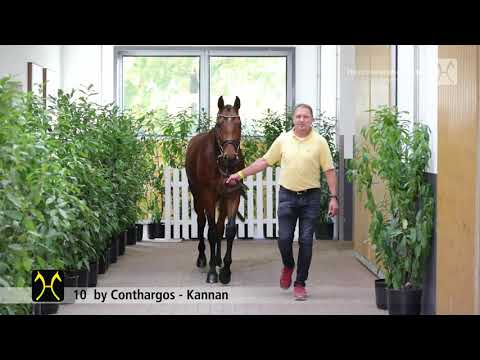 Verden Stallion Licensing 2021 - Jumping - Dec. 2-4 - No. 10 Stallion by Conthargos - Kannan