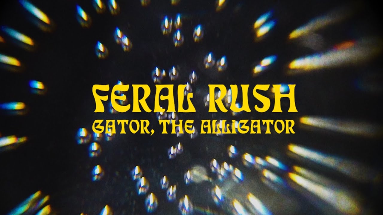https://www.youtube.com/embed/ilqeLgZ7qi4