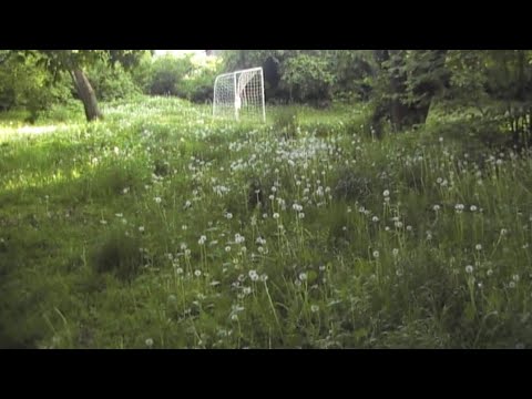 Перший ранок літа - YouTube