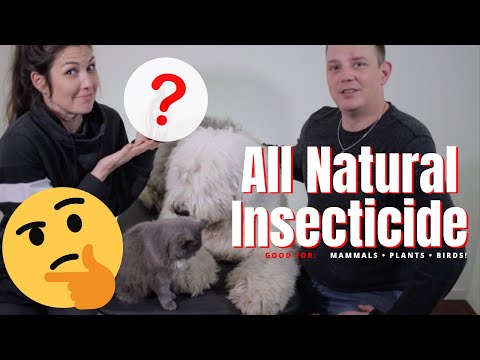 Neem Oil┃Natural Insecticide for ALL┃Ed&Mel