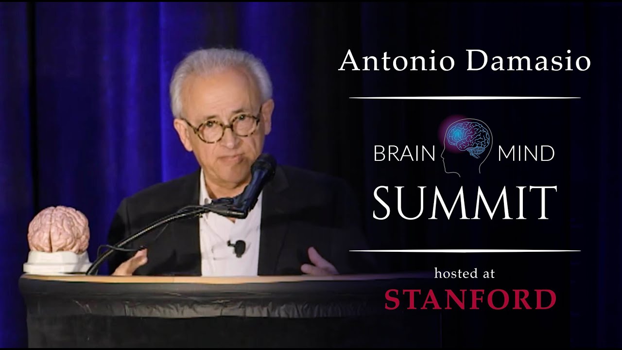 Antonio Damasio - Feeling and Consciousness