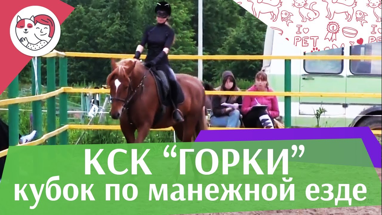Летний кубок КСК Горки по манежной езде КЮР часть 16 на ilikepet