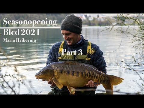 Bled Season Opening Folge 3 - Karpfenangeln am Lake Bled