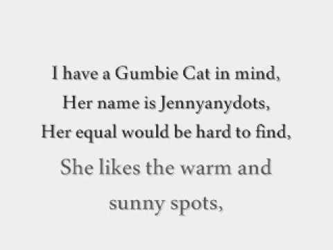 Video thumbnail for The Old Gumbie Cat