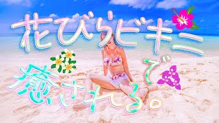 【チュアンピサマイ】花びらビキニで癒される…。【八重山諸島】