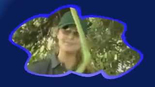 Classic TV Theme Songs -- Gas In A Bag (1997-1999)