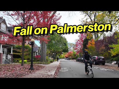 Toronto’s Palmerston Avenue in Autumn | Neighbourhood Walk (Oct 2025)