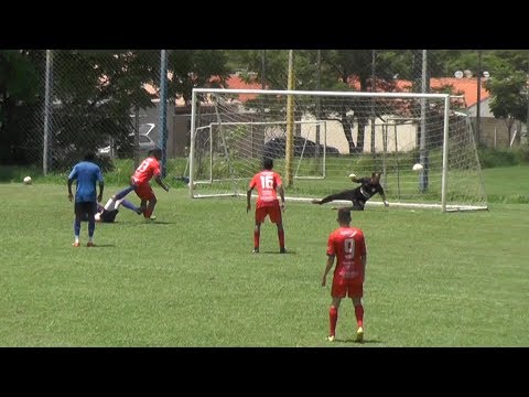 PSTC PROCOPENSE 2X1 PORTUGUESA - JOGO TREINO