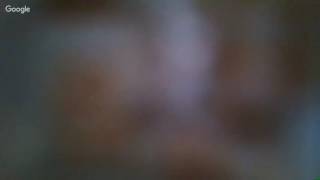 Michel'le and the Ike Turner of Hip-Hop!