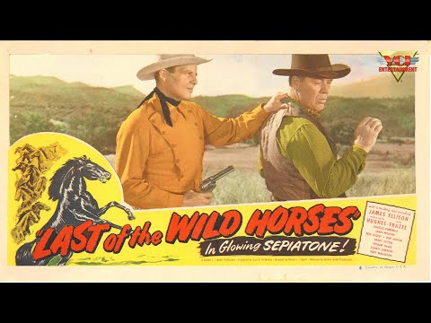 Last of the Wild Horses