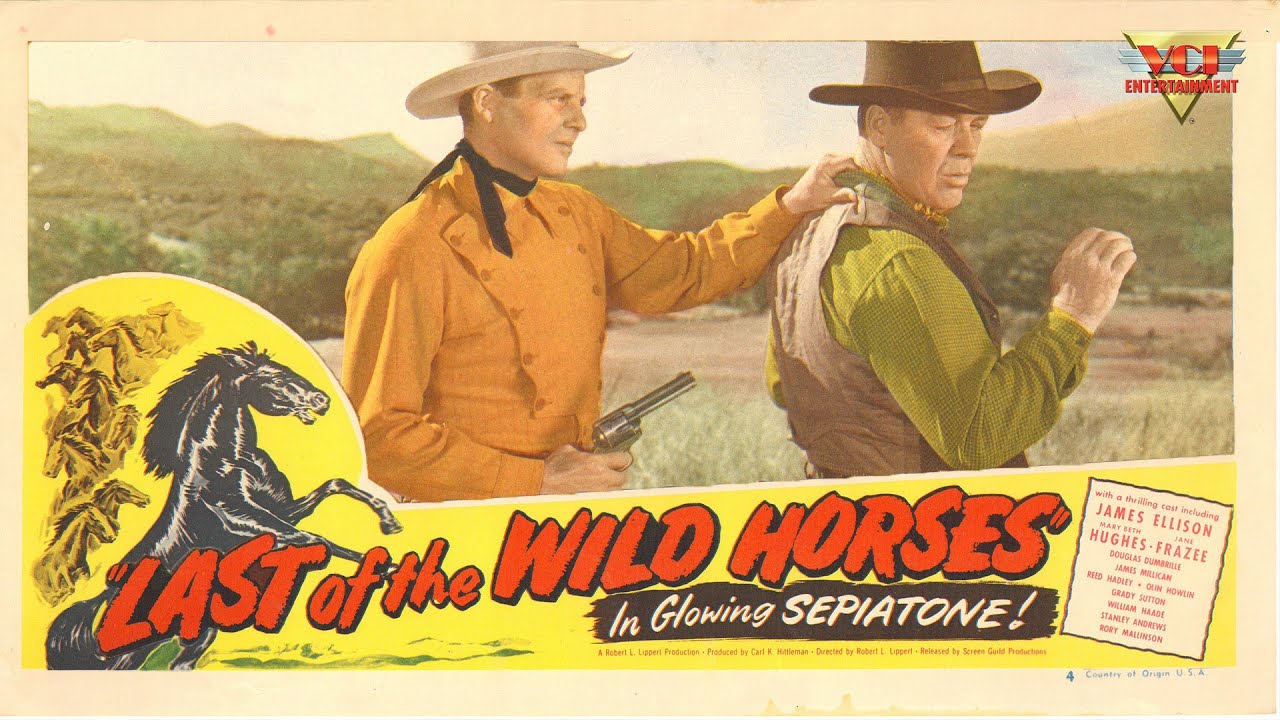 Last of the Wild Horses