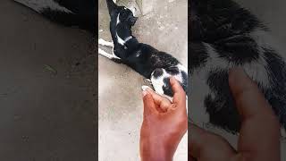 Download lagu https://youtube.com/shorts/MmxRsgdDZTA?si=cKcRWv5ngEfBsUzq mp3