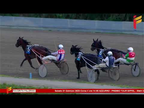 IV corsa del 21 gennaio 2023 -  3 Anni -  Metri 2000