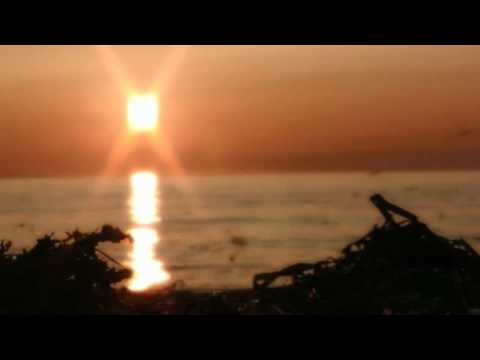 Phil Oiseau in the mix 6 (November) Part 1/6