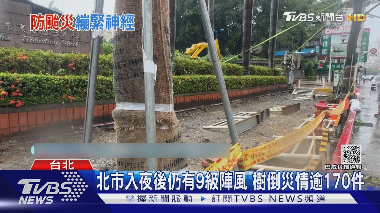 影音/台北市颳9級陣風!逾170件樹倒 轎車遭樹猛砸