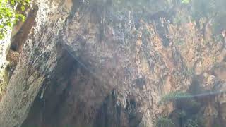 Download lagu 15. Beautiful Blue Water Chinhoyi Cave, Zimbabwe #chinhoyi#zimbabwe #beautiful mp3