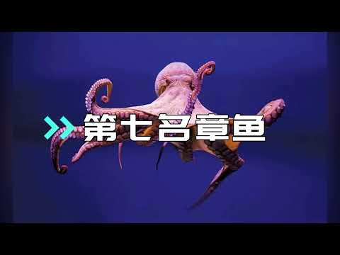 馬 性慾