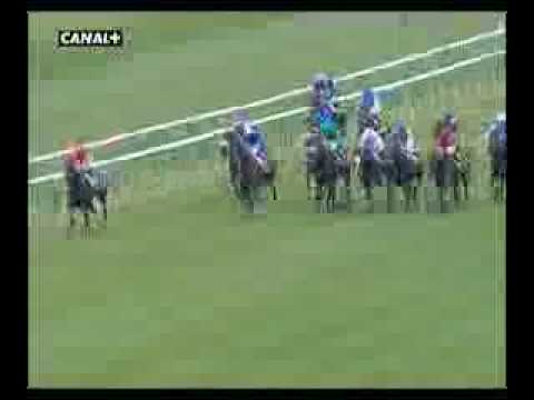 Prix de Diane - Stacellita - Christophe Lemaire