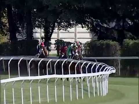 2017.09.23 Premio Ippolito Fassati (ITA) - Anda Muchacho