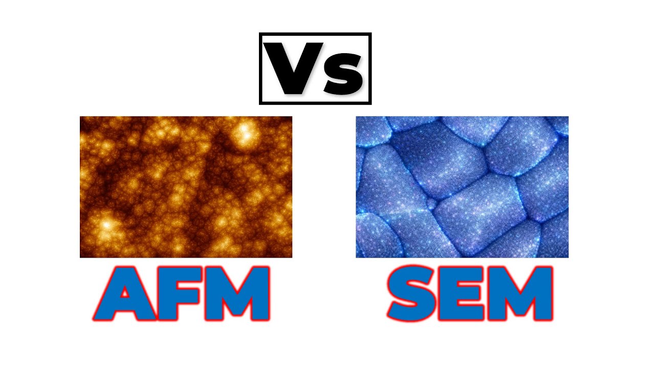 How to Interpret SEM and AFM Images?