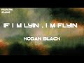 Kodak Black - If I'm Lyin', I'm Flyin' (Lyrics)