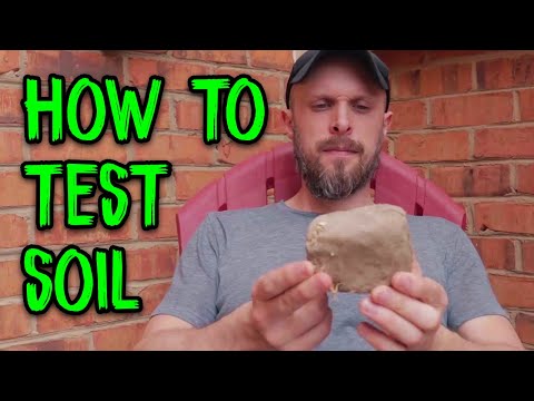 Is My Soil Good or Not For Cob Building?