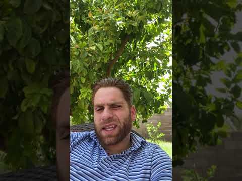 Elite Flowers & Gifts - Customer Success Story (Sudan Grigorian - Elite Flowers & Gifts)