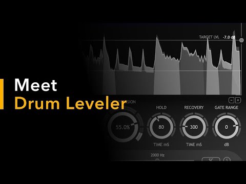 Free Download Drum Leveler v1.x.x AAX AU VST VST3 RTAS WiN MAC-R2R-HEXWARS
